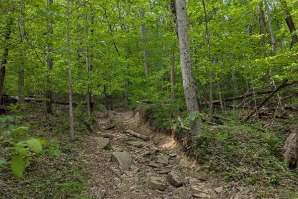 Trail 87