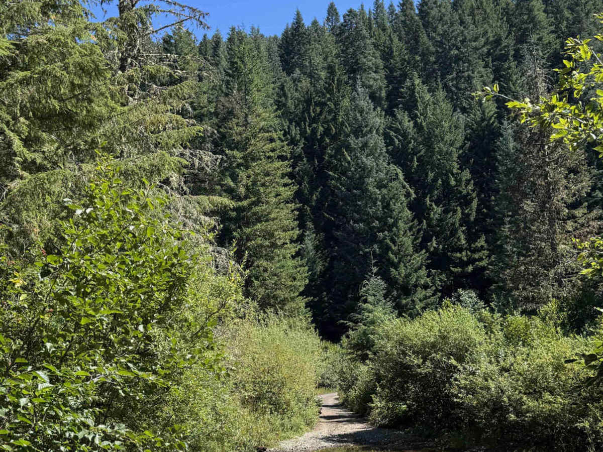Abbott Road East - FS 4610000 photo 2