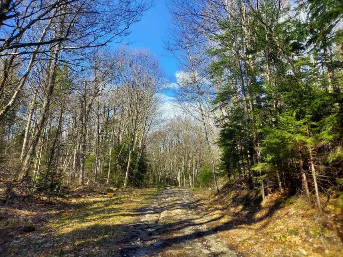 Castle Brook Trail photo 6