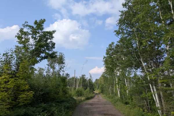 Caribou Trail