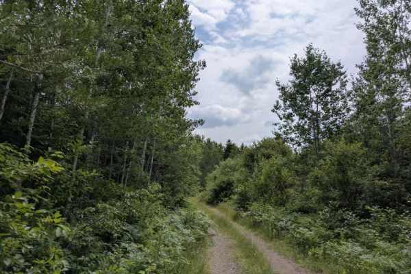 Tomlinson Lake Trail