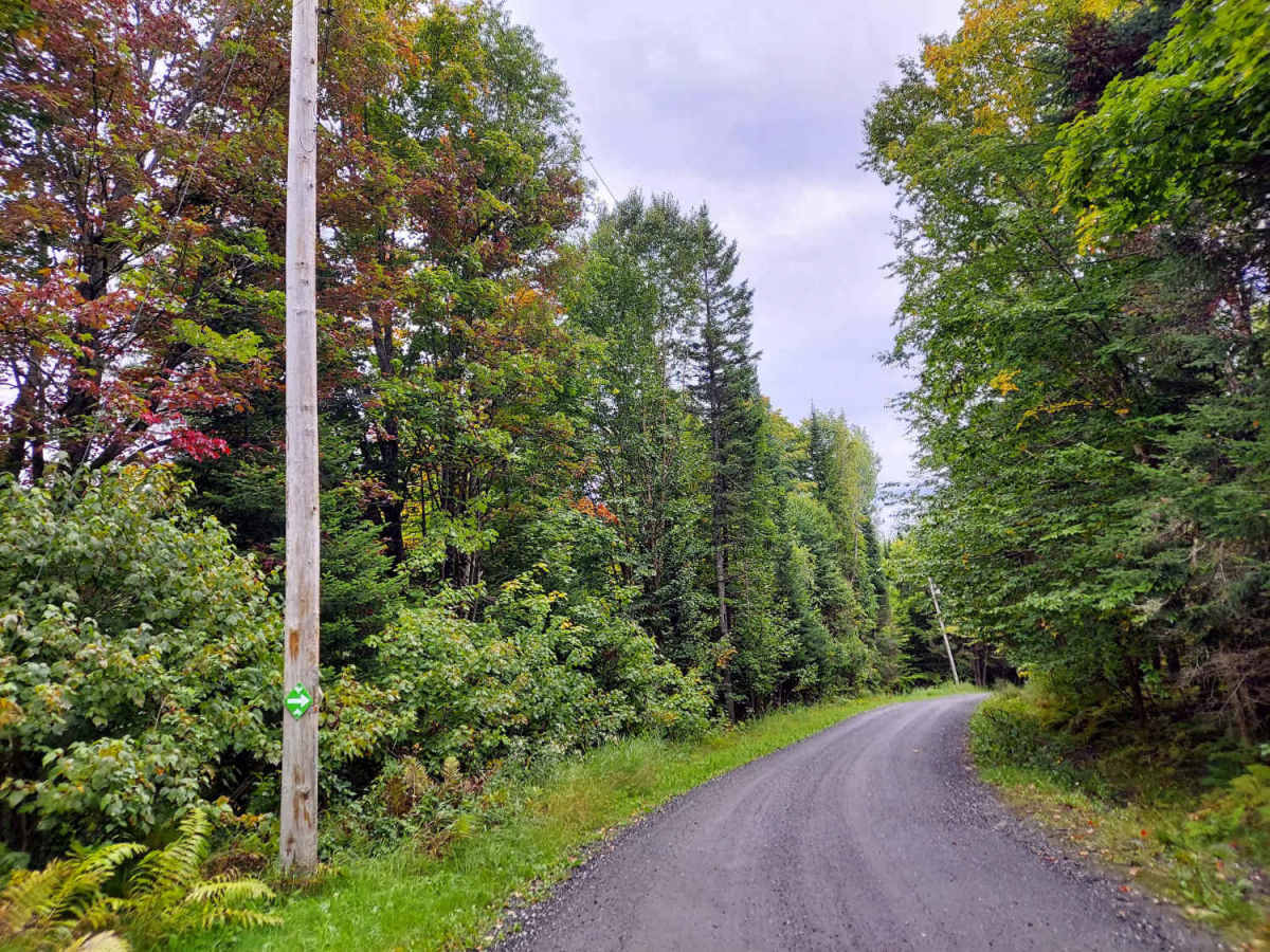Philbrook Drive photo 6