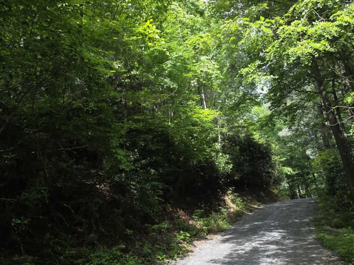 Rocky Branch trail photo