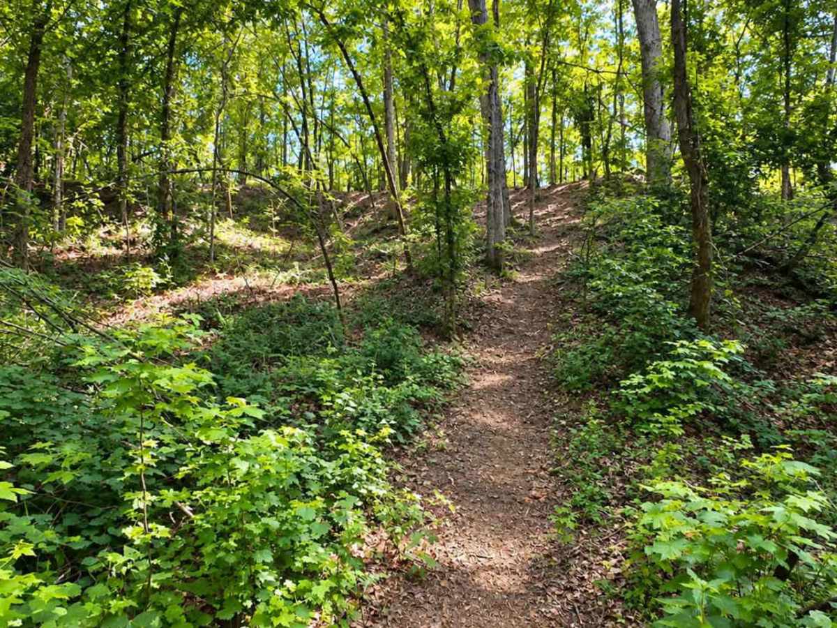 Splinter Hill Trail  trail photo