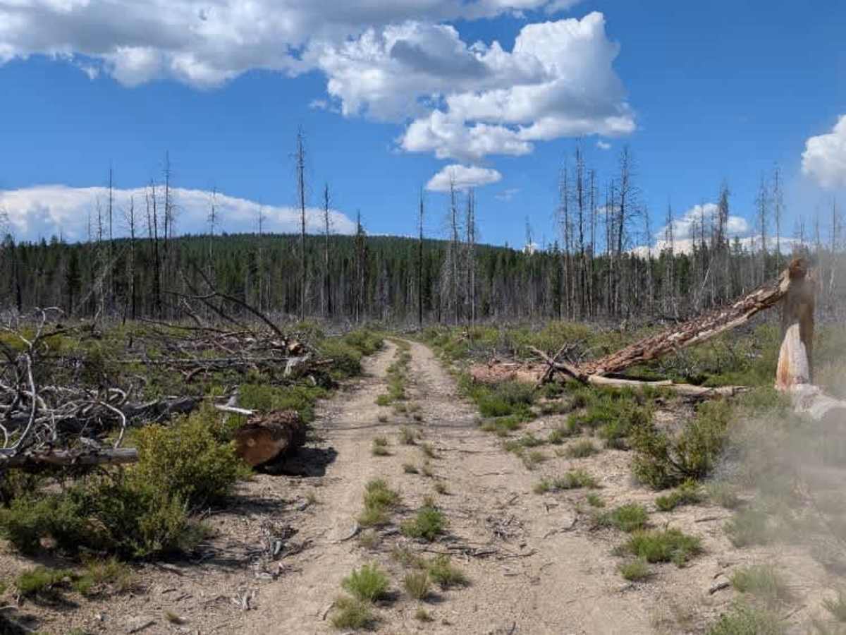 FS 4506 trail photo