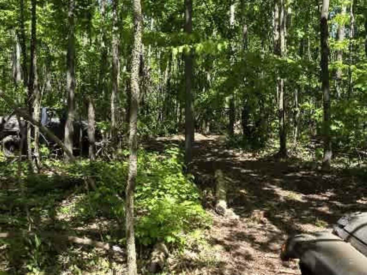 DJ's Hill Climb trail photo