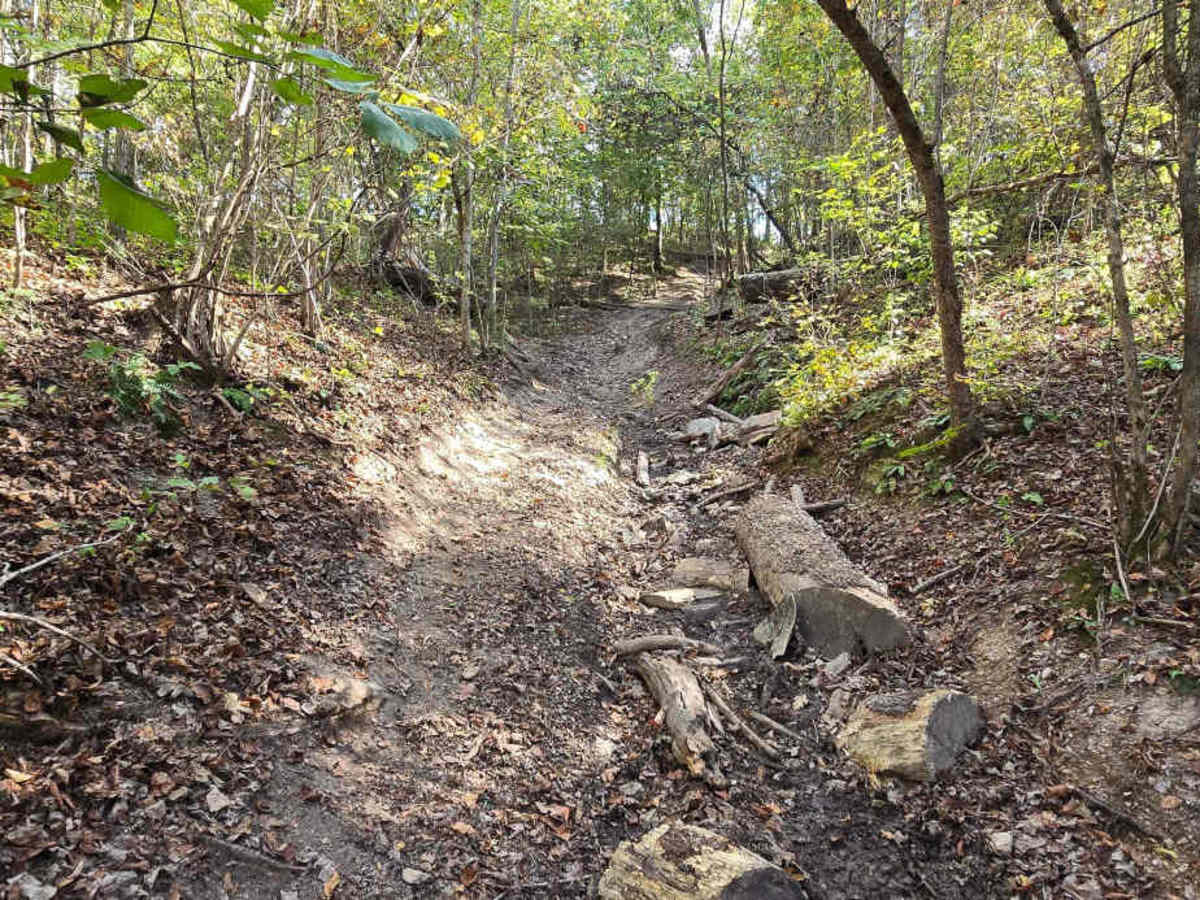 Turtle Trail photo 3