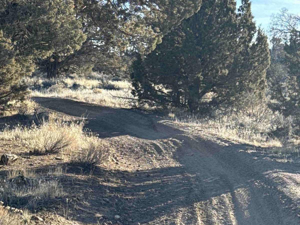 Millican Plateau OHV Trail 55 photo 5