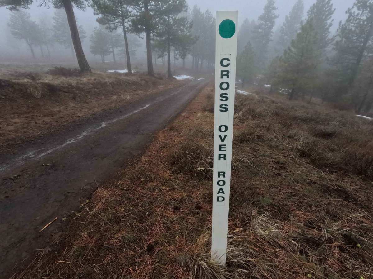 Cross Over Road trail photo