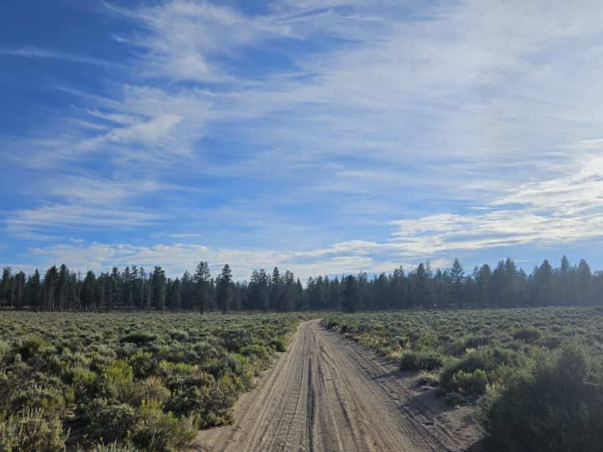 FS 3145000 trail photo