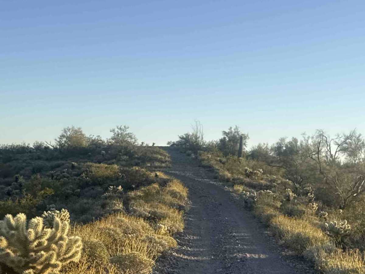 Cow Creek Ridge  photo 5