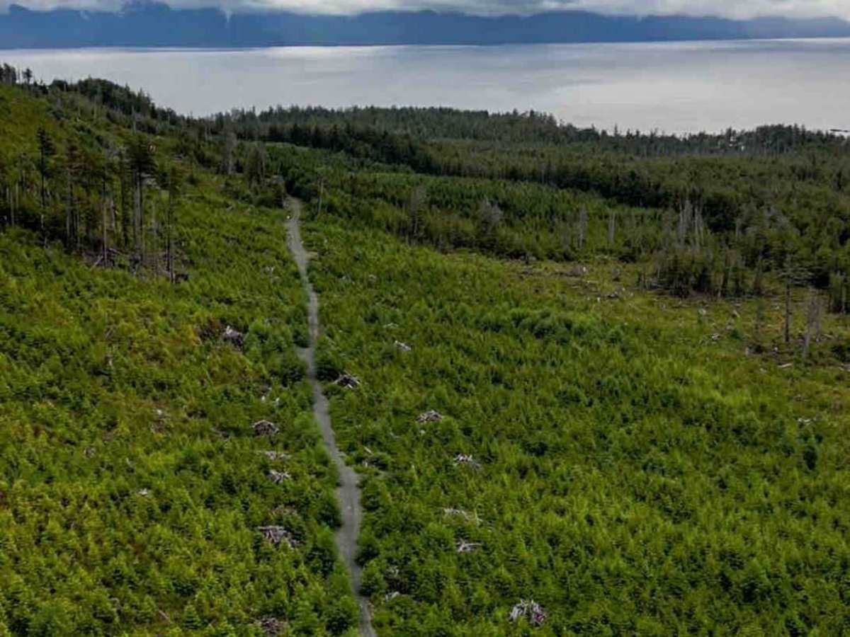 Side Bay Main Part 2 trail photo