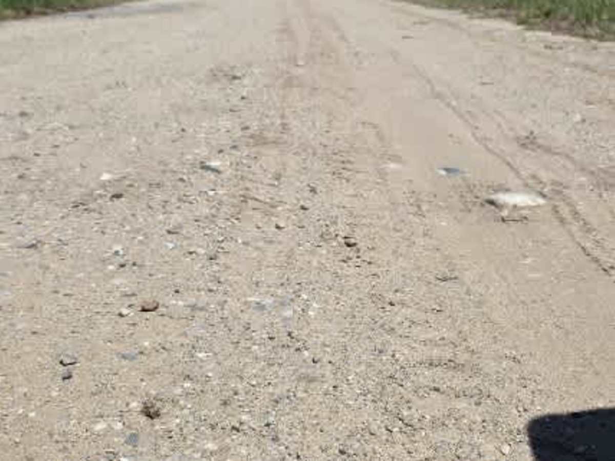 Howard Road photo 2