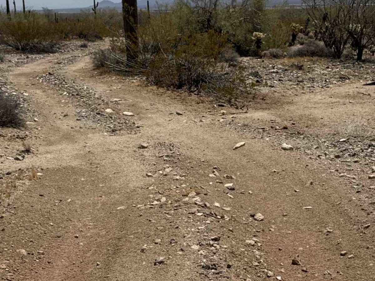 Creosote Run photo 2