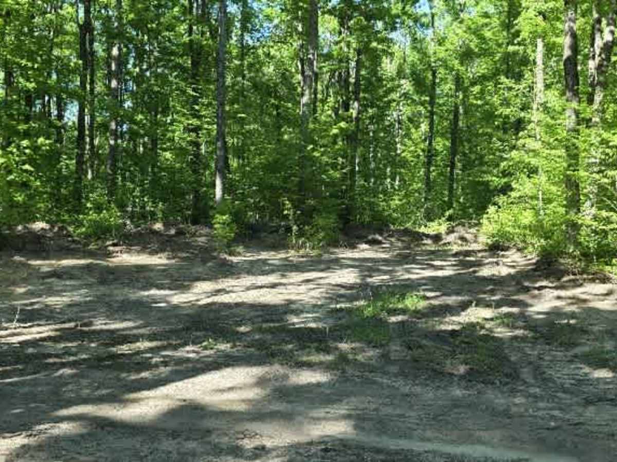 Backwoods Bypass photo 4
