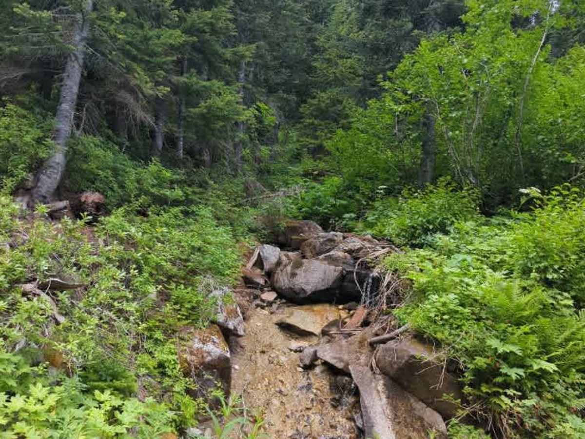 Upper Mill Creek Road photo 2