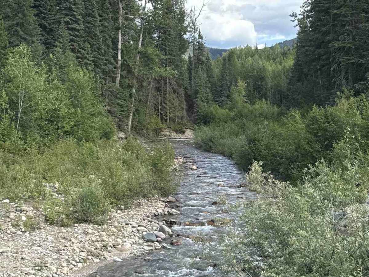 Bowron FSR (Haggle Creek) photo 4