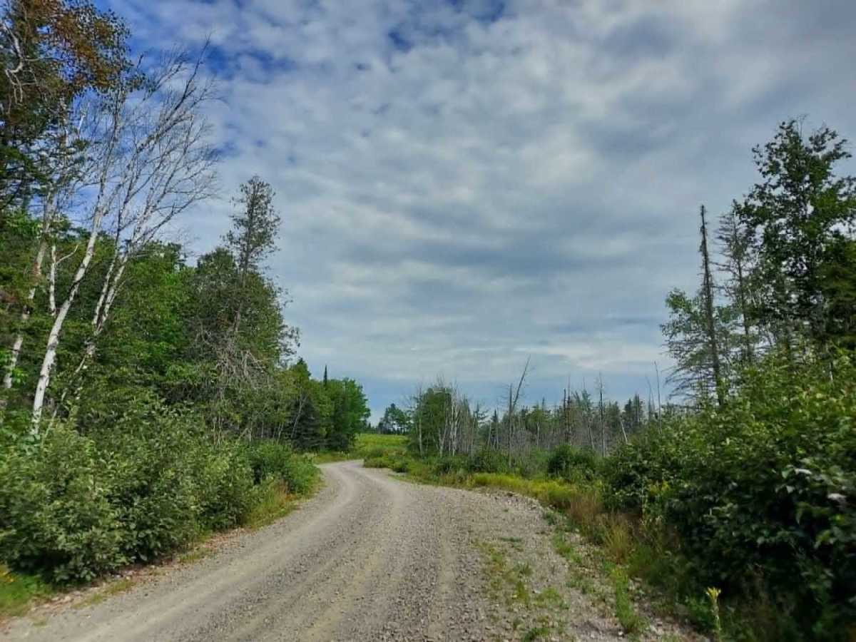 Harvey Siding Road photo 2