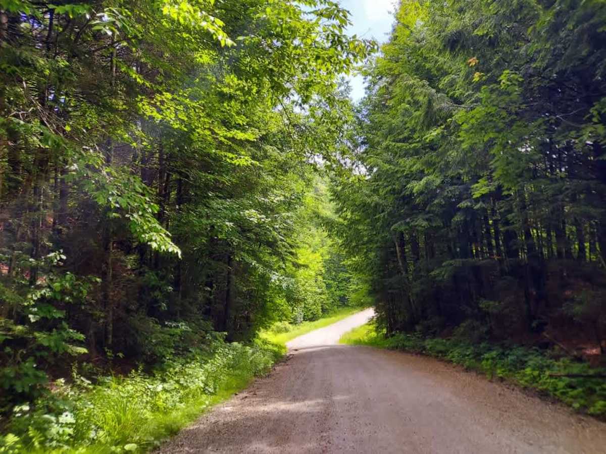 Dailey Hollow Road photo 2