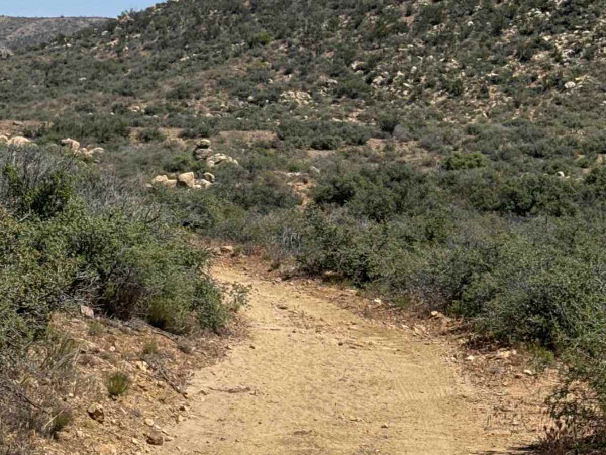 BLM 30022 trail photo