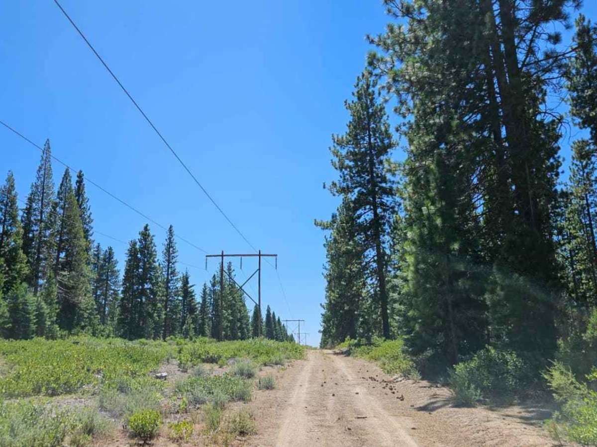 Powerline Road trail photo