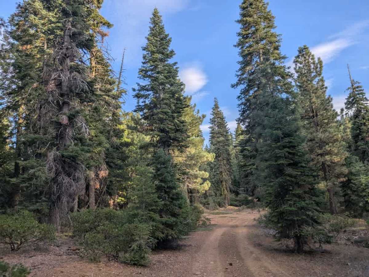 FS 24N10C trail photo