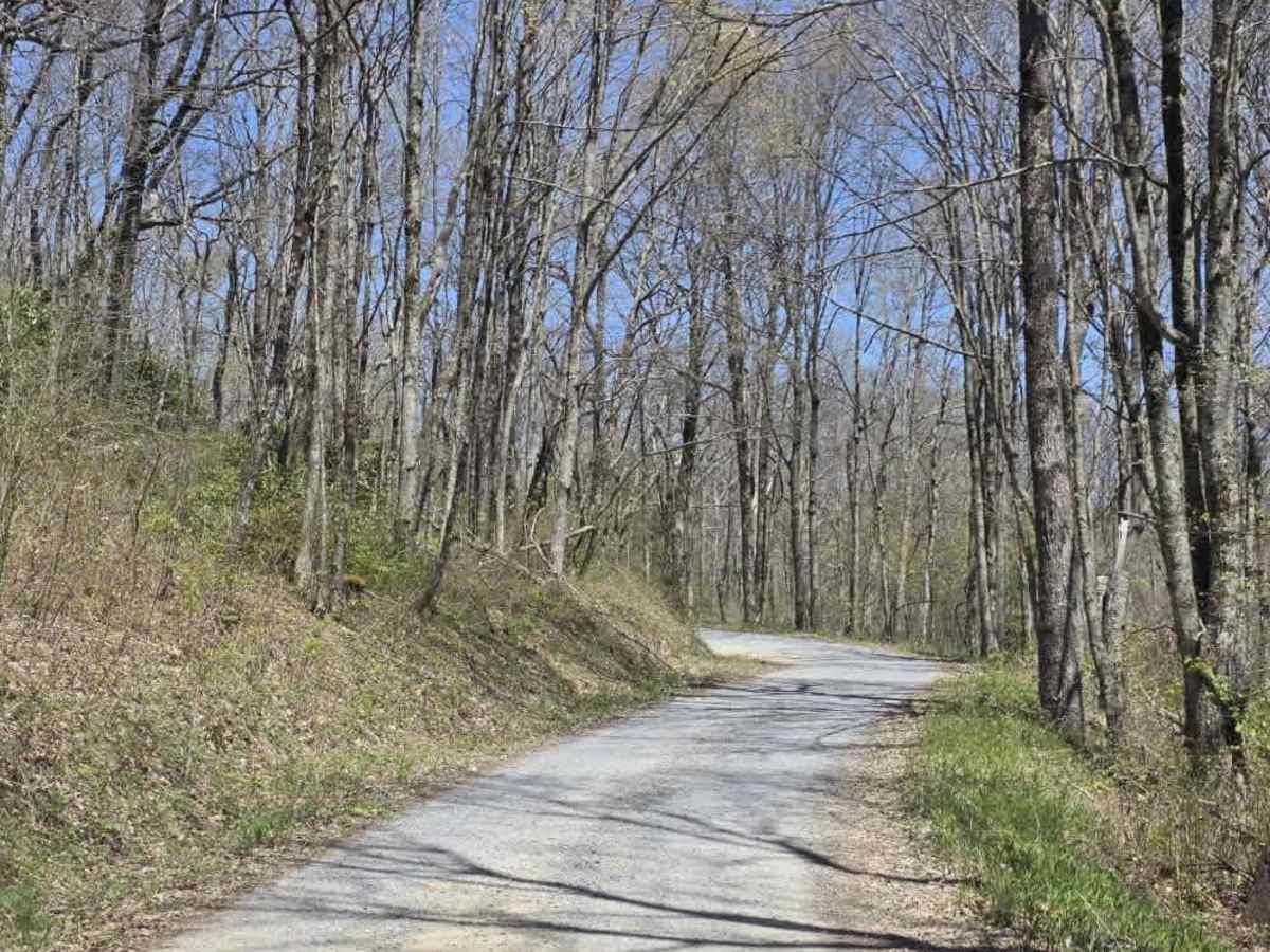 Panhandle Road Crest photo 5