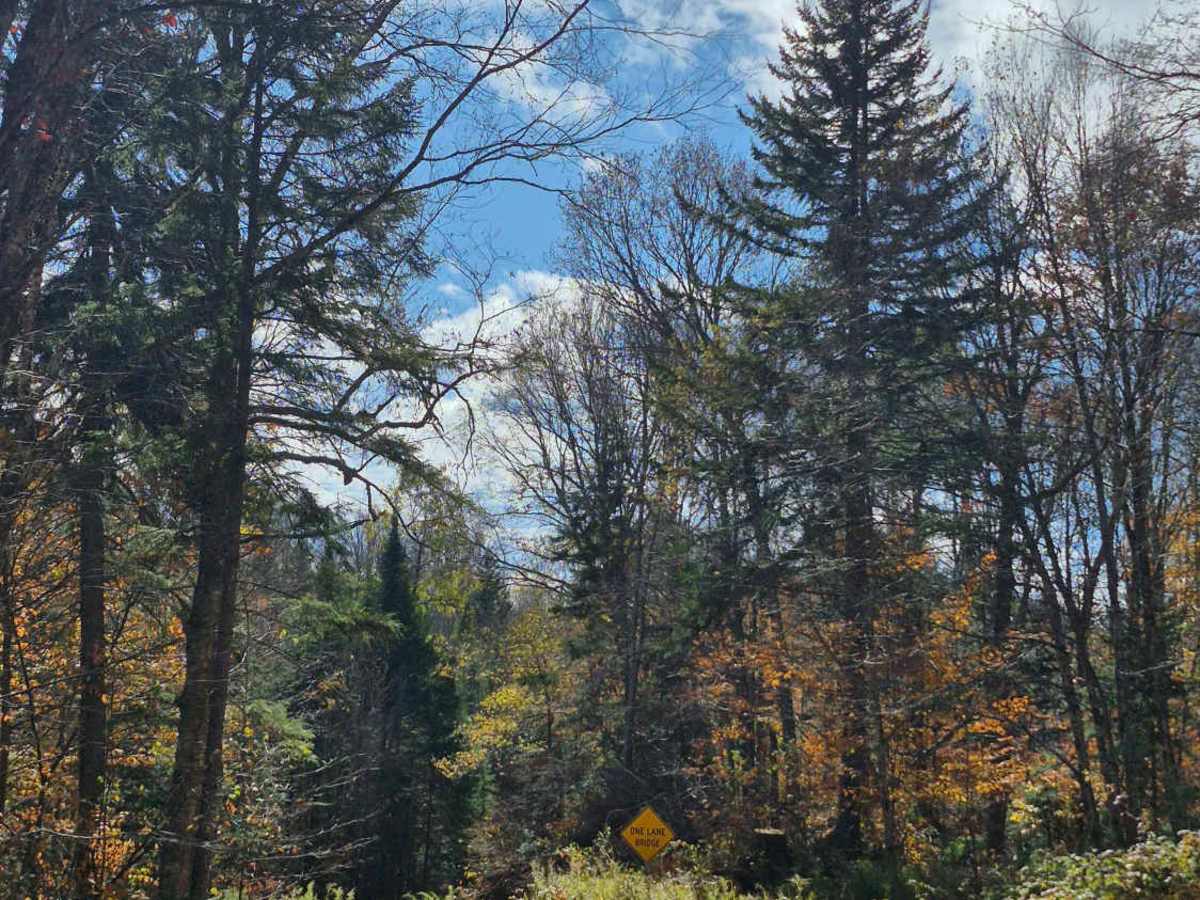 Old Military Road photo 2