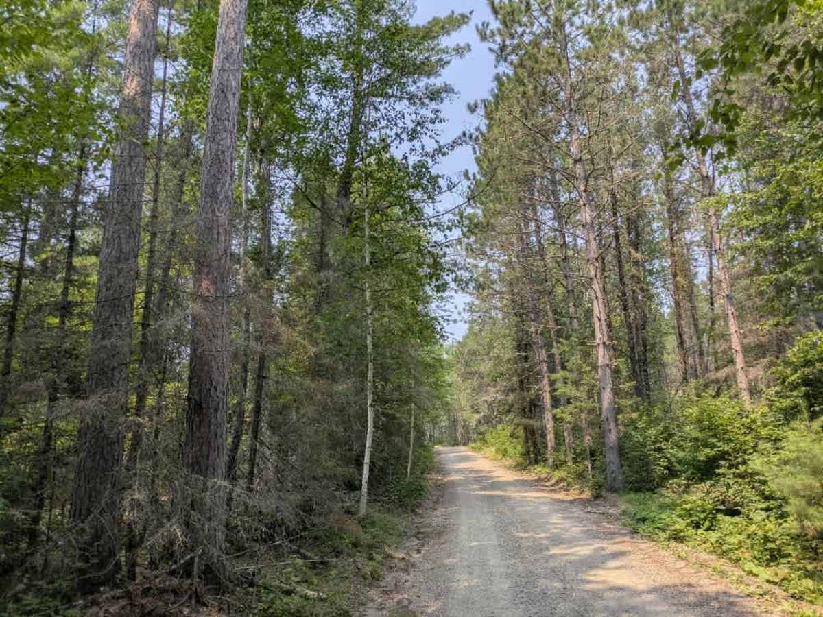Hanson Lake Road photo 2