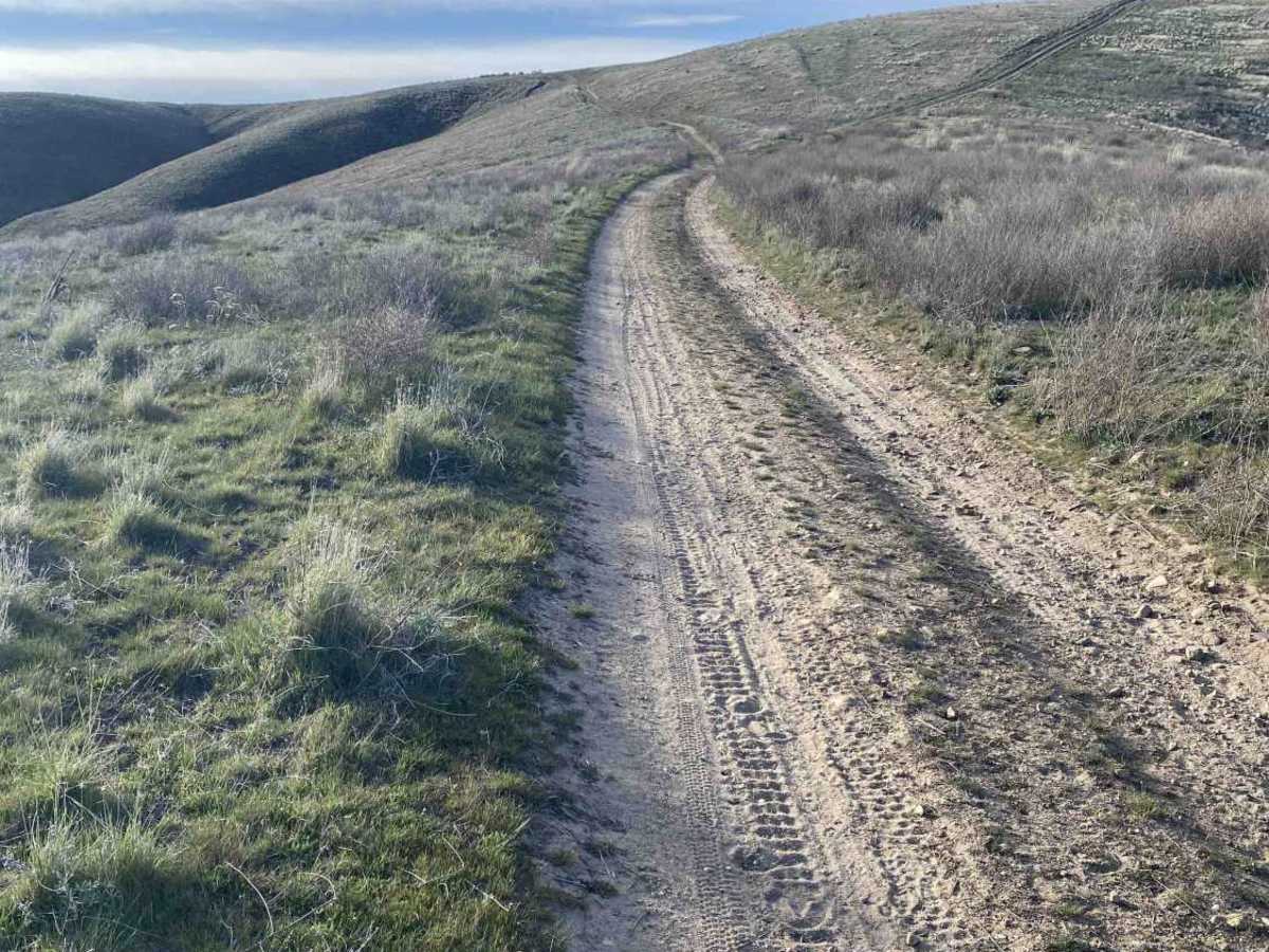 Oregon Trail photo 4