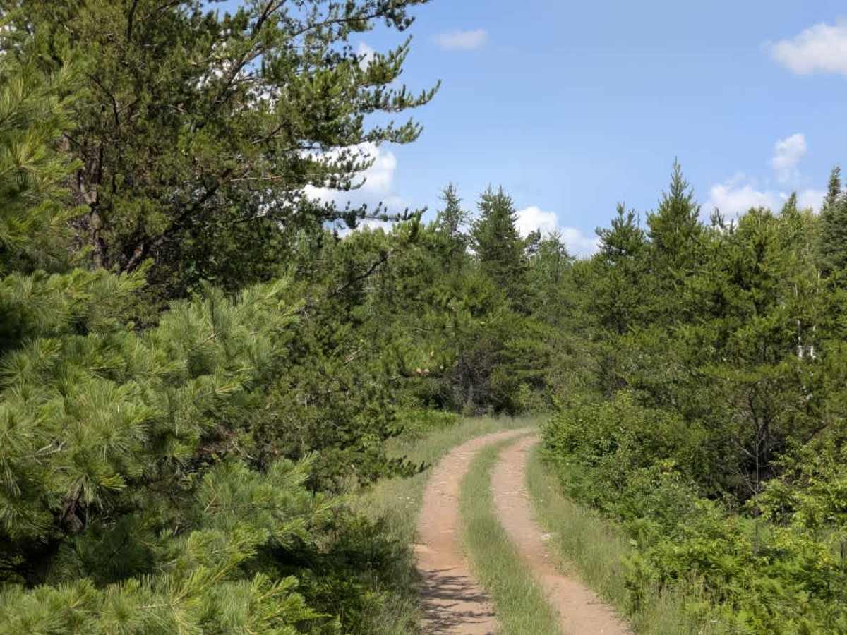 Doghouse Lake  trail photo