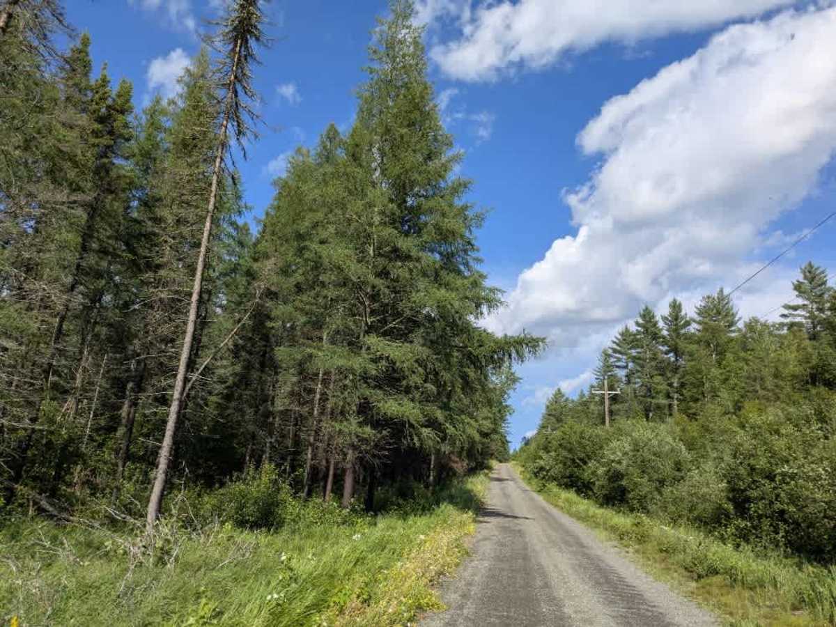 Twin Lakes Road photo 6