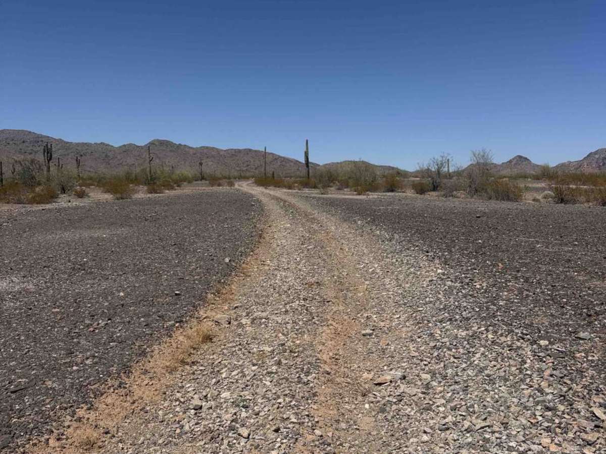 Hs58m  trail photo
