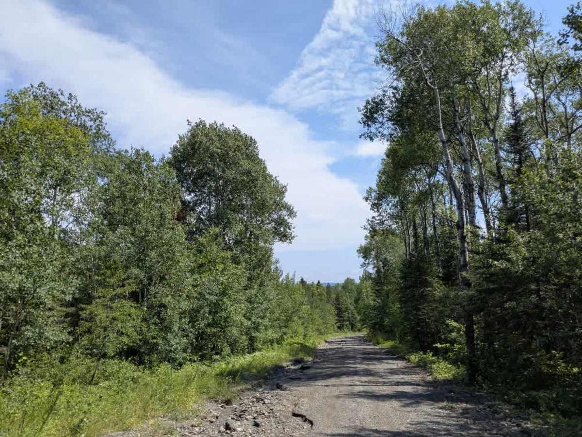 Shoe Lake Road photo 4