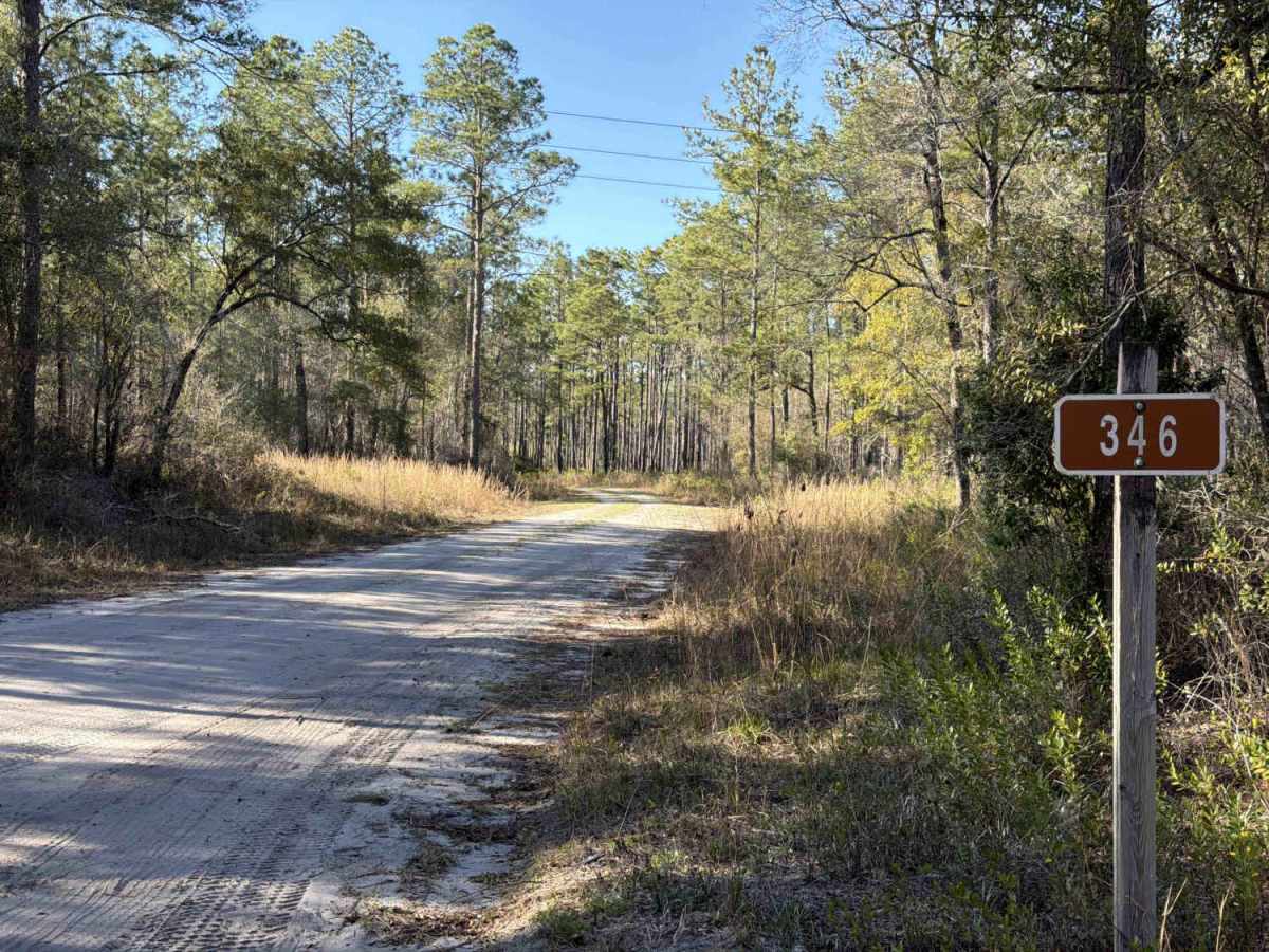 Monkey Creek - FS 346 trail photo