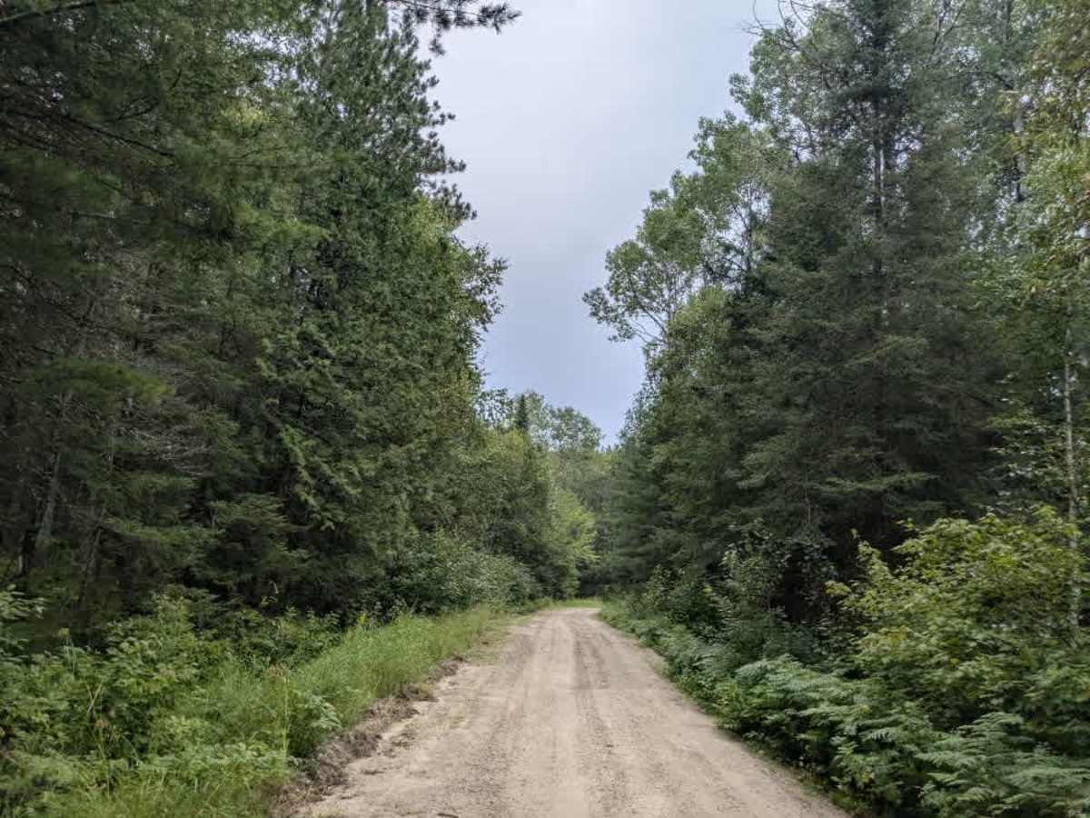 Johnson Lake photo 5