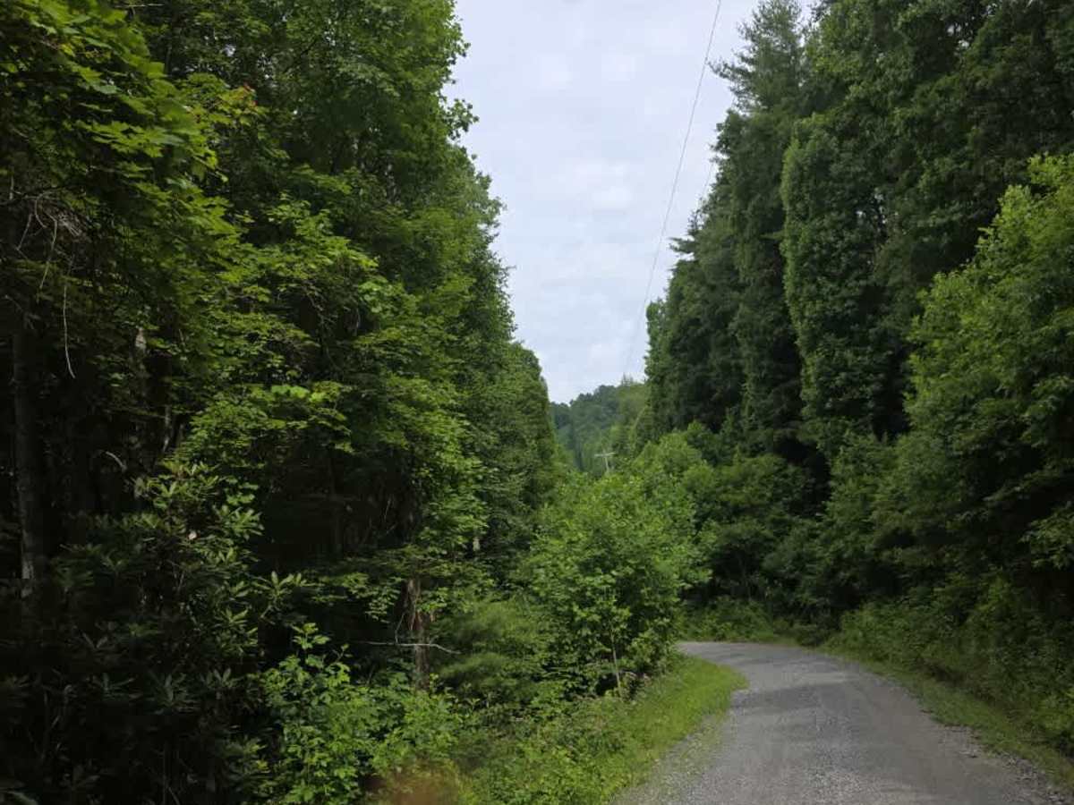 Doe Branch Road photo 2