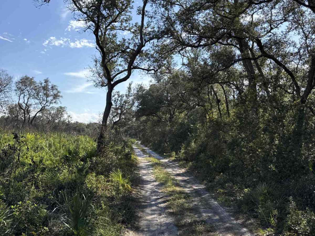 Cemetery Road photo 4