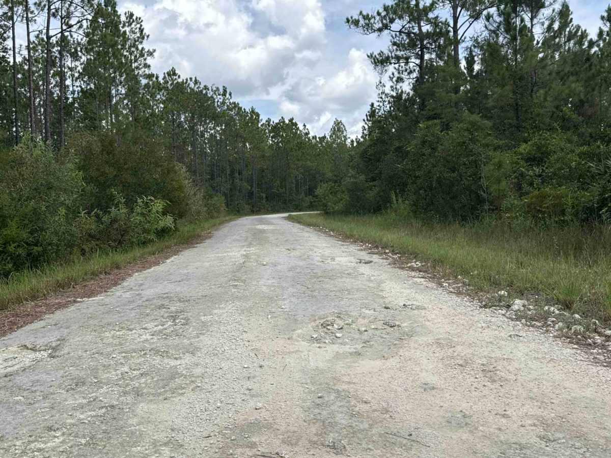 Gopher Ridge Road photo 2