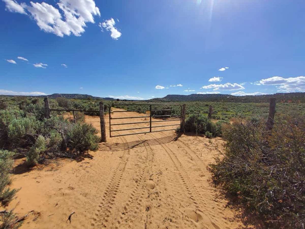 BLM 42 photo 3