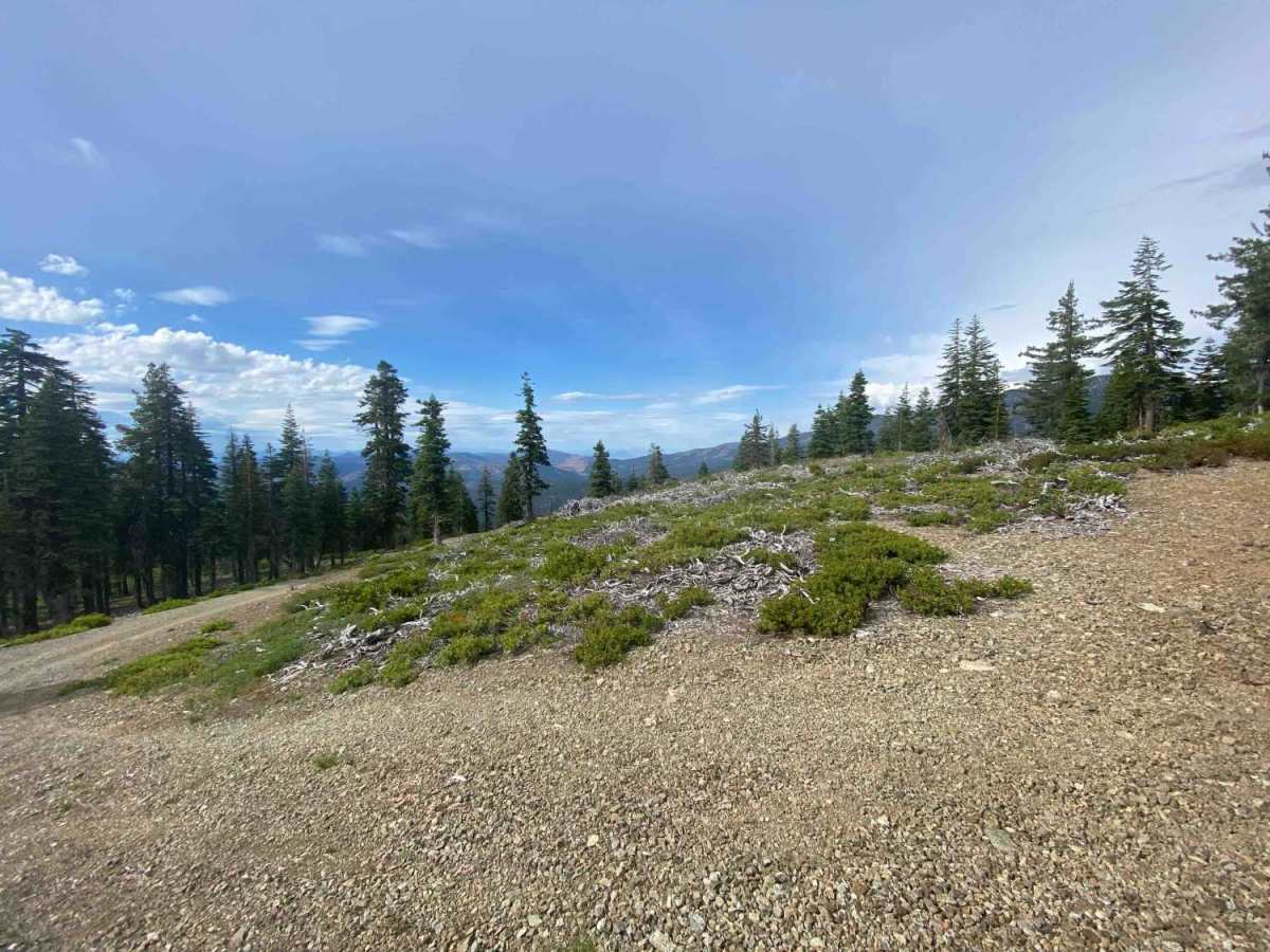 Cooper Meadow Spur A - FS 40N67A photo 2