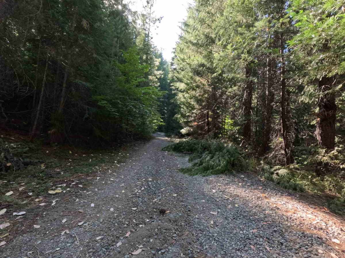 Mule Creek - FS 35N23Y photo 2