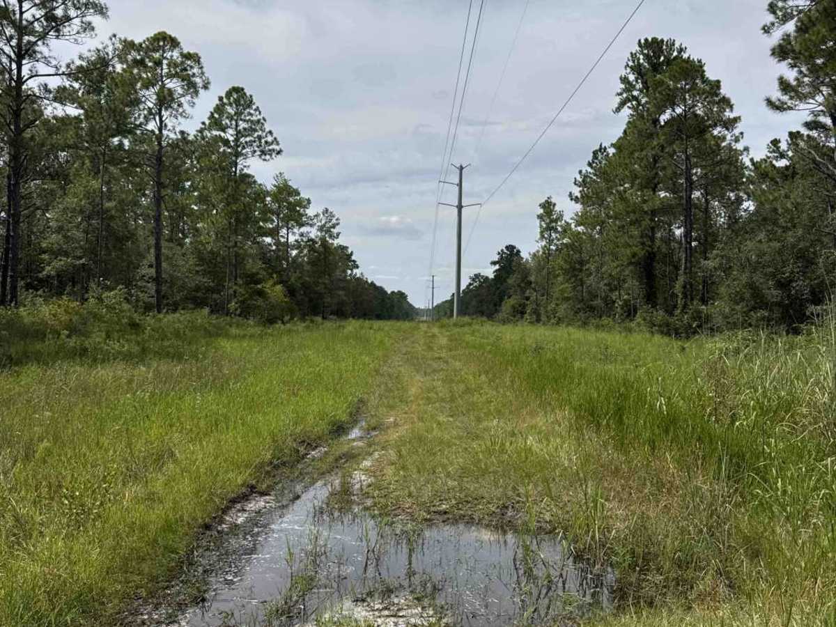Tinsley Powerline Road photo 5