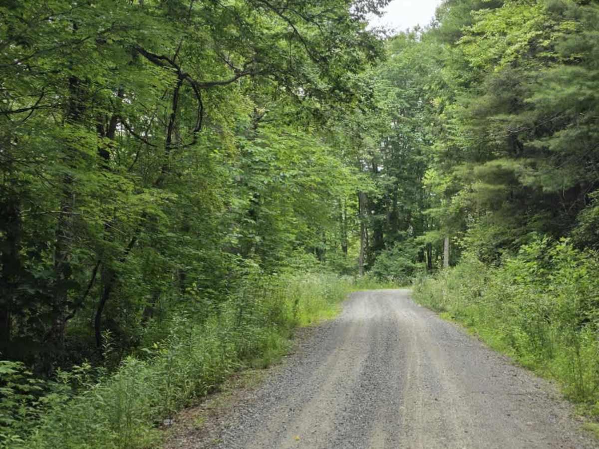 Chestnut Ridge Road photo 3