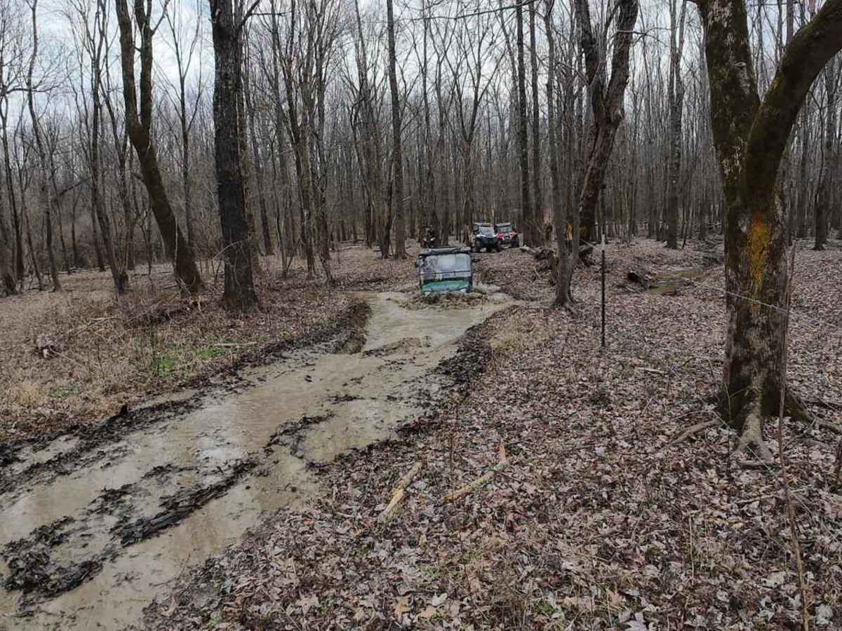 Wolf Creek Trail photo 4