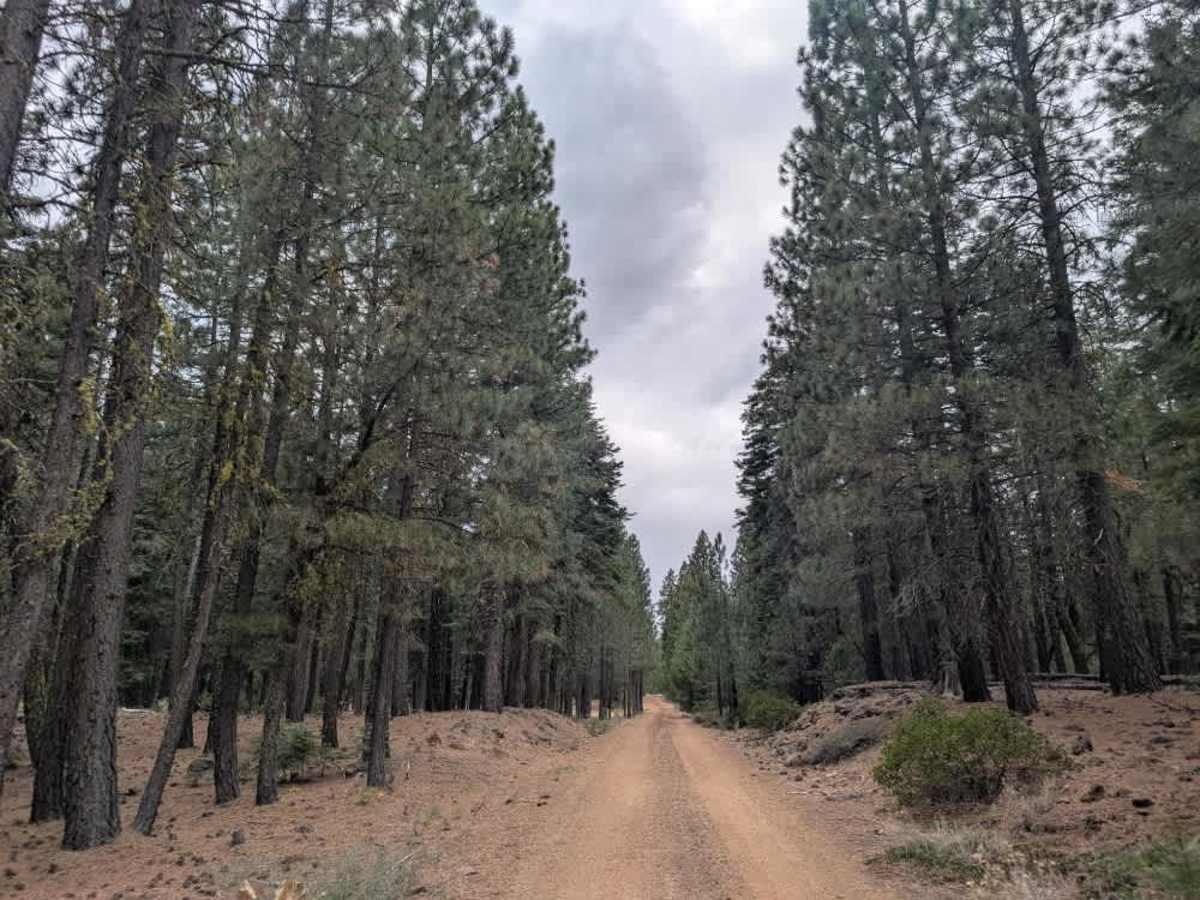 FS 30N42 trail photo