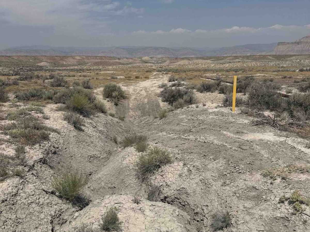 BLM 114A photo 3