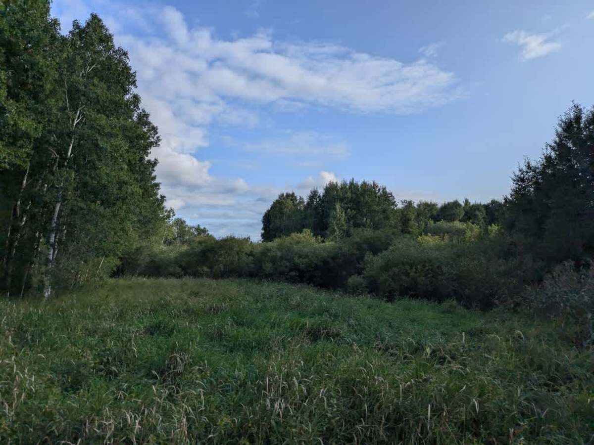 Wapiti Road NW photo 6