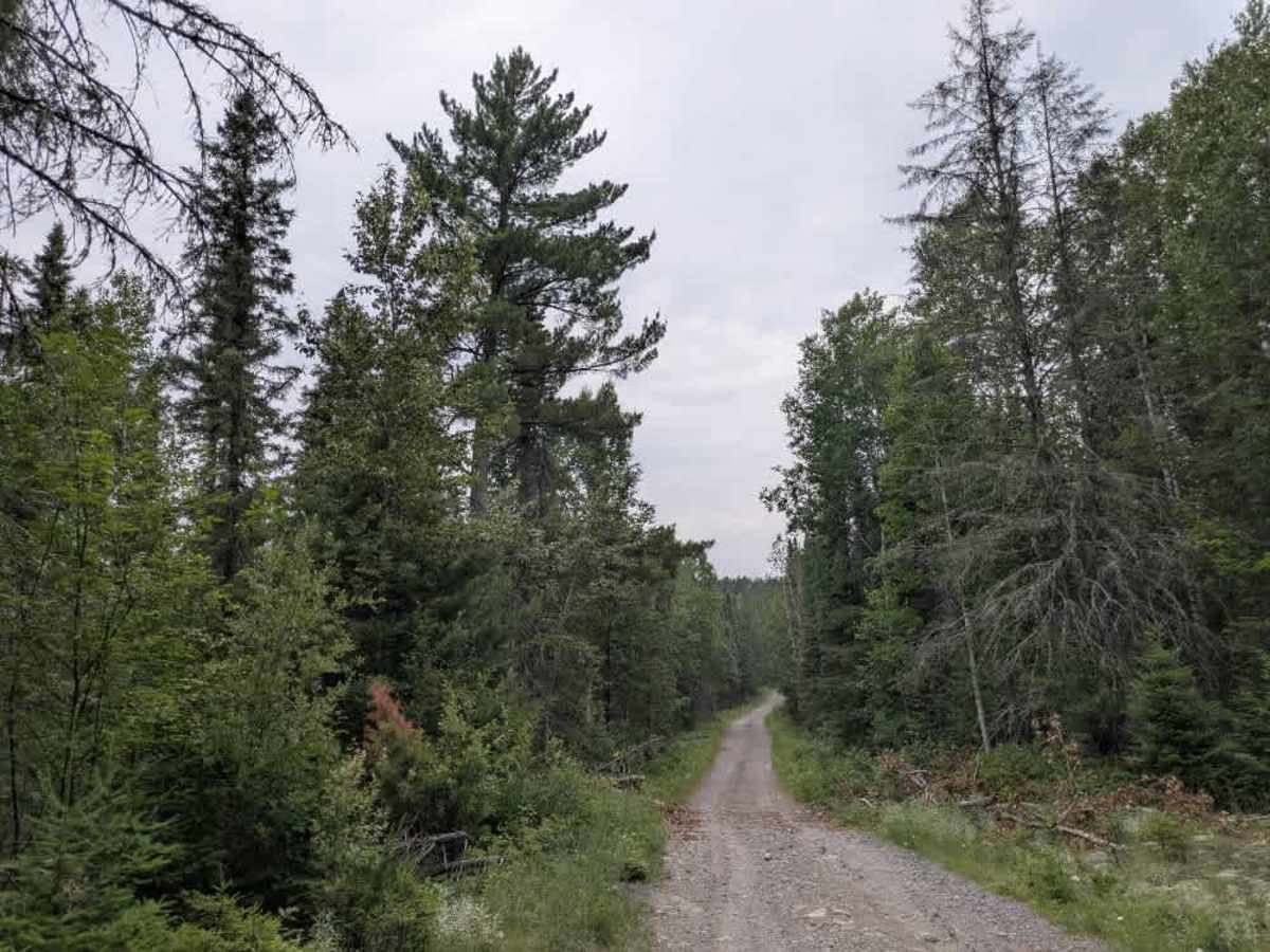 Sand River photo 5