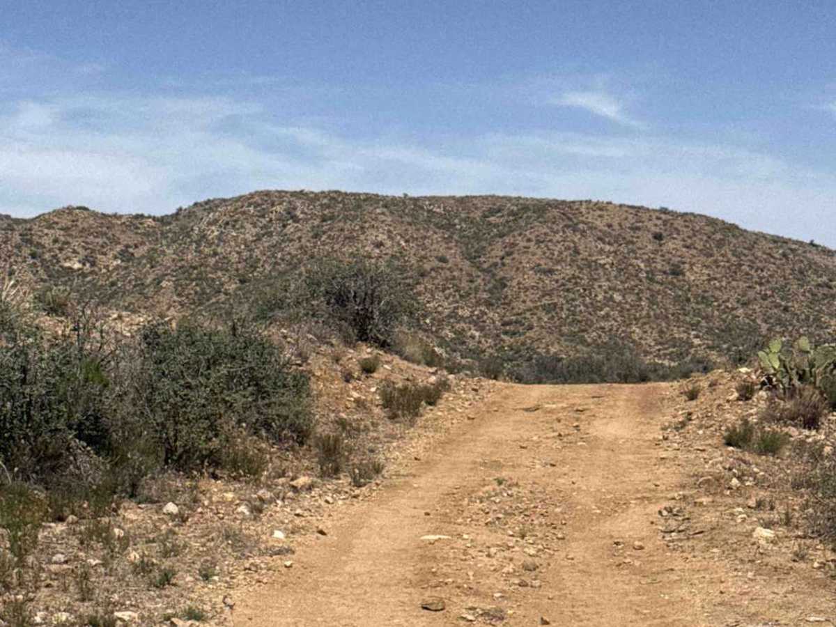 BLM 30022 photo 4
